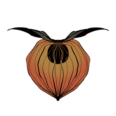 鹿華 -Shisha Locca-